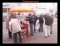 Thumbs/tn_Pict4079.jpg